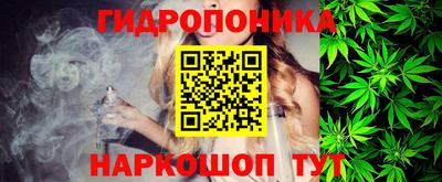 прущие крисы Абакан